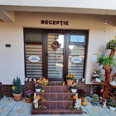 Splendid House Ξενοδοχείο Făgăraş Εξωτερικό φωτογραφία